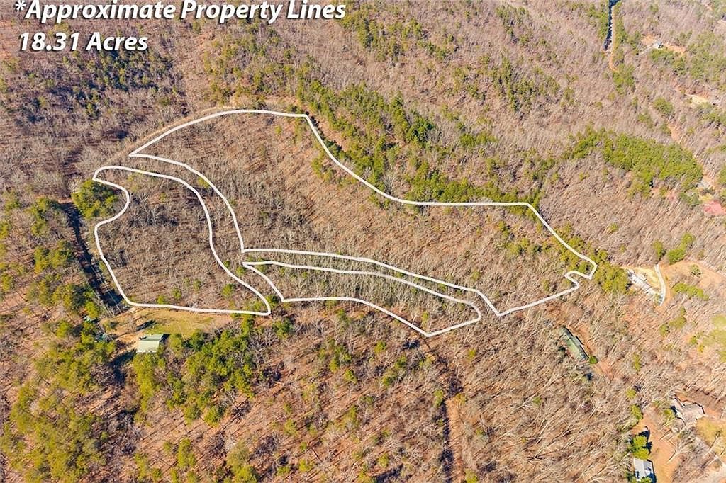 (undisclosed Address) Sugar Valley, GA 30746 - Thumbnail 4