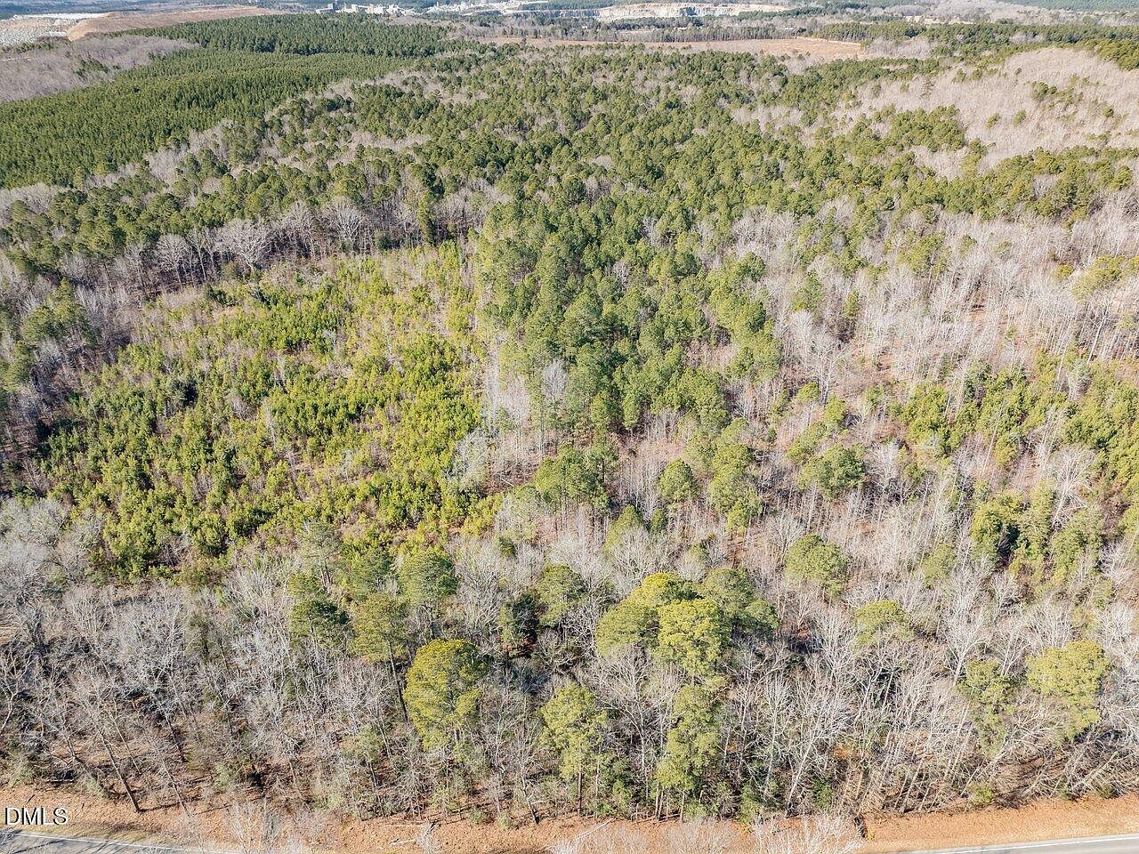 3412 Moncure Pittsboro Rd Lot 3 Moncure, NC 27559 - Thumbnail 4