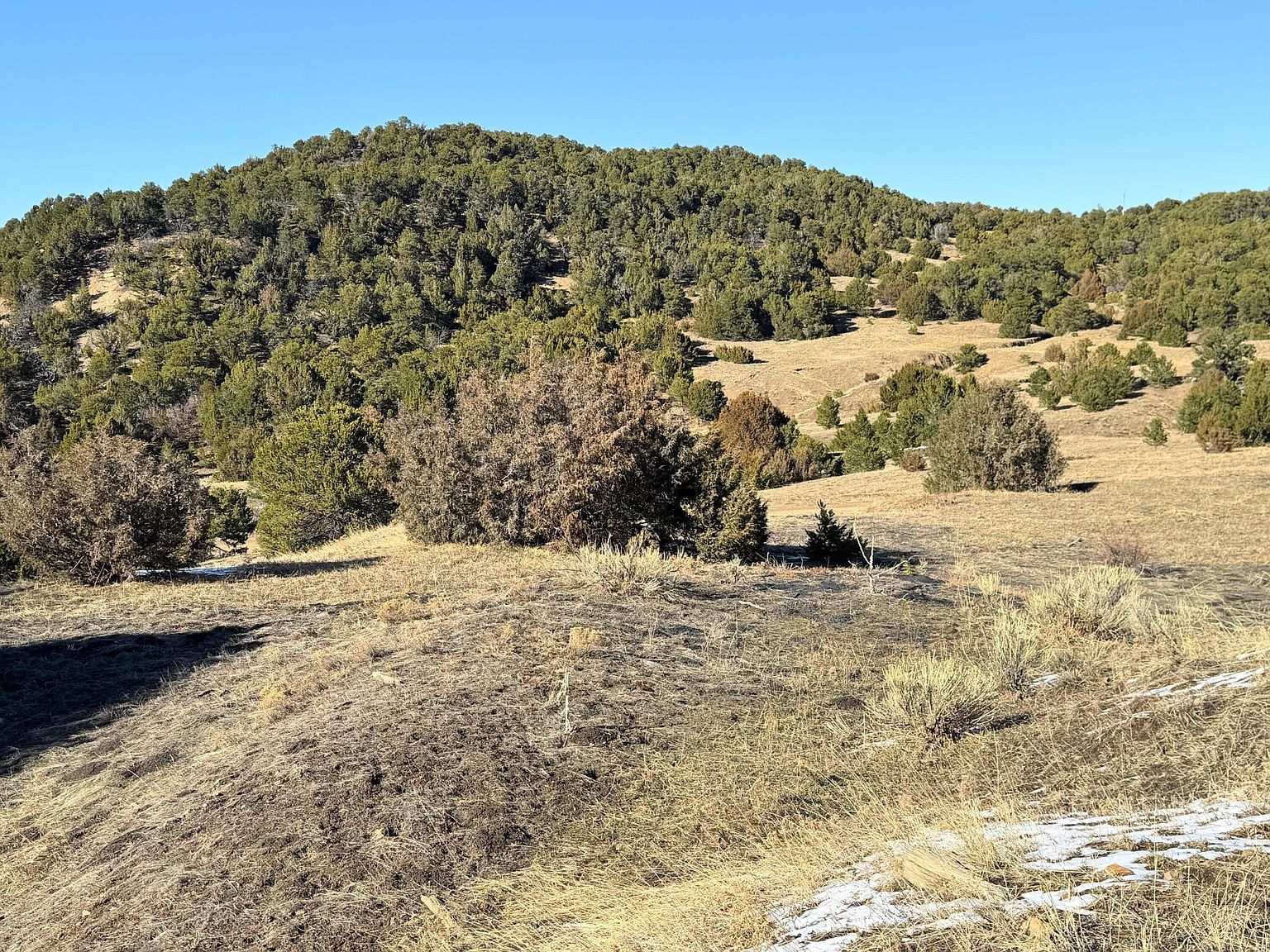 Blackhawk Ranch Filing #6-80 Walsenburg, CO 81089 - Thumbnail 4