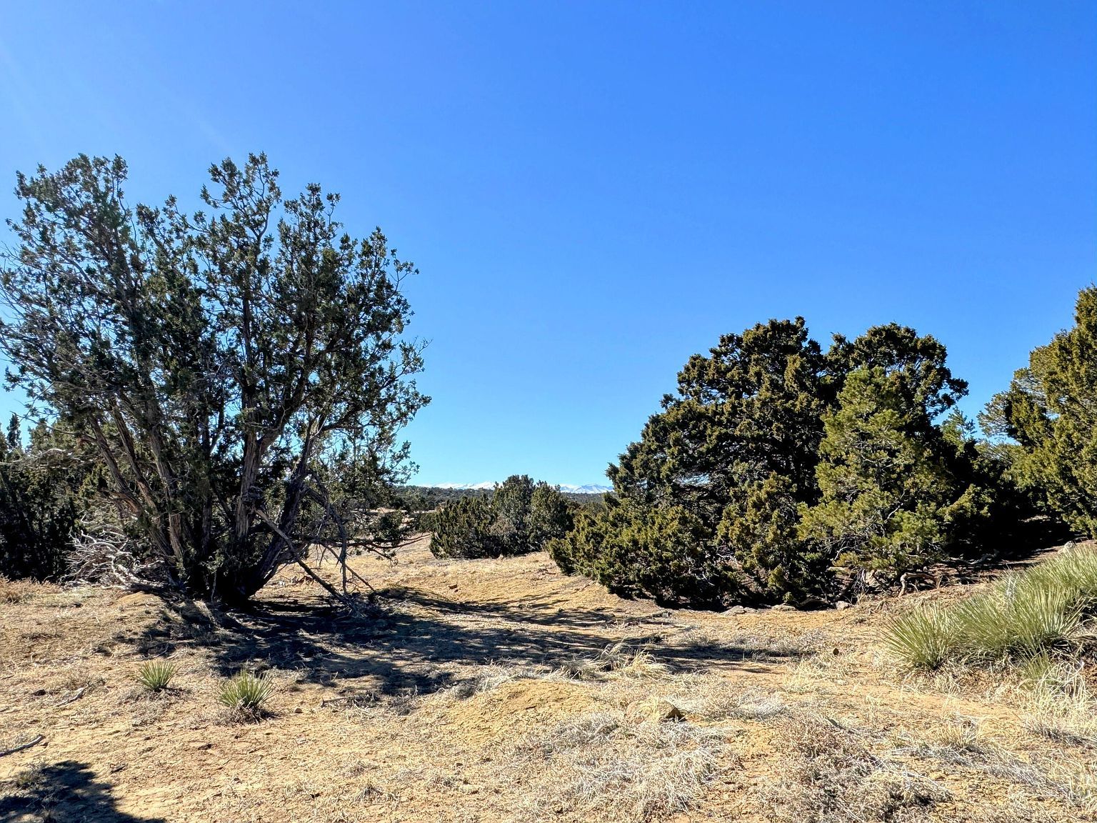 Rio Cucharas Phase 2 639 Walsenburg #2-639 Walsenburg, CO 81089 - Thumbnail 4