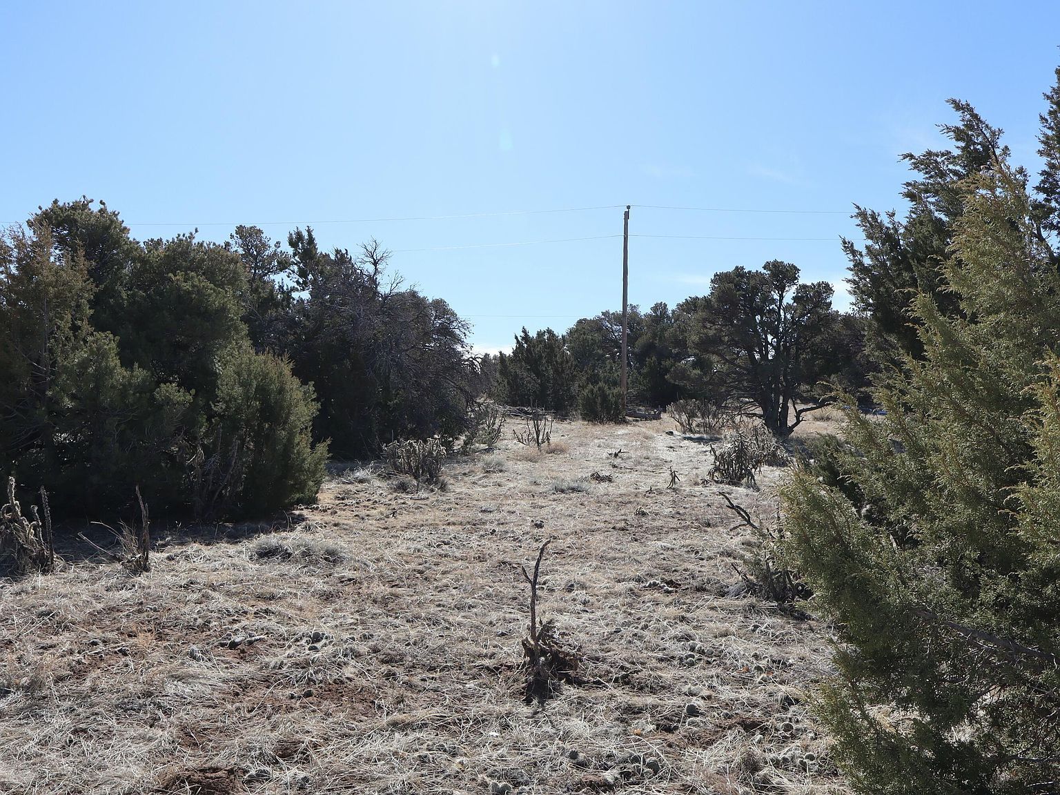 Spanish Peaks Village Lots #102-107 Walsenburg, CO 81089 - Thumbnail 4