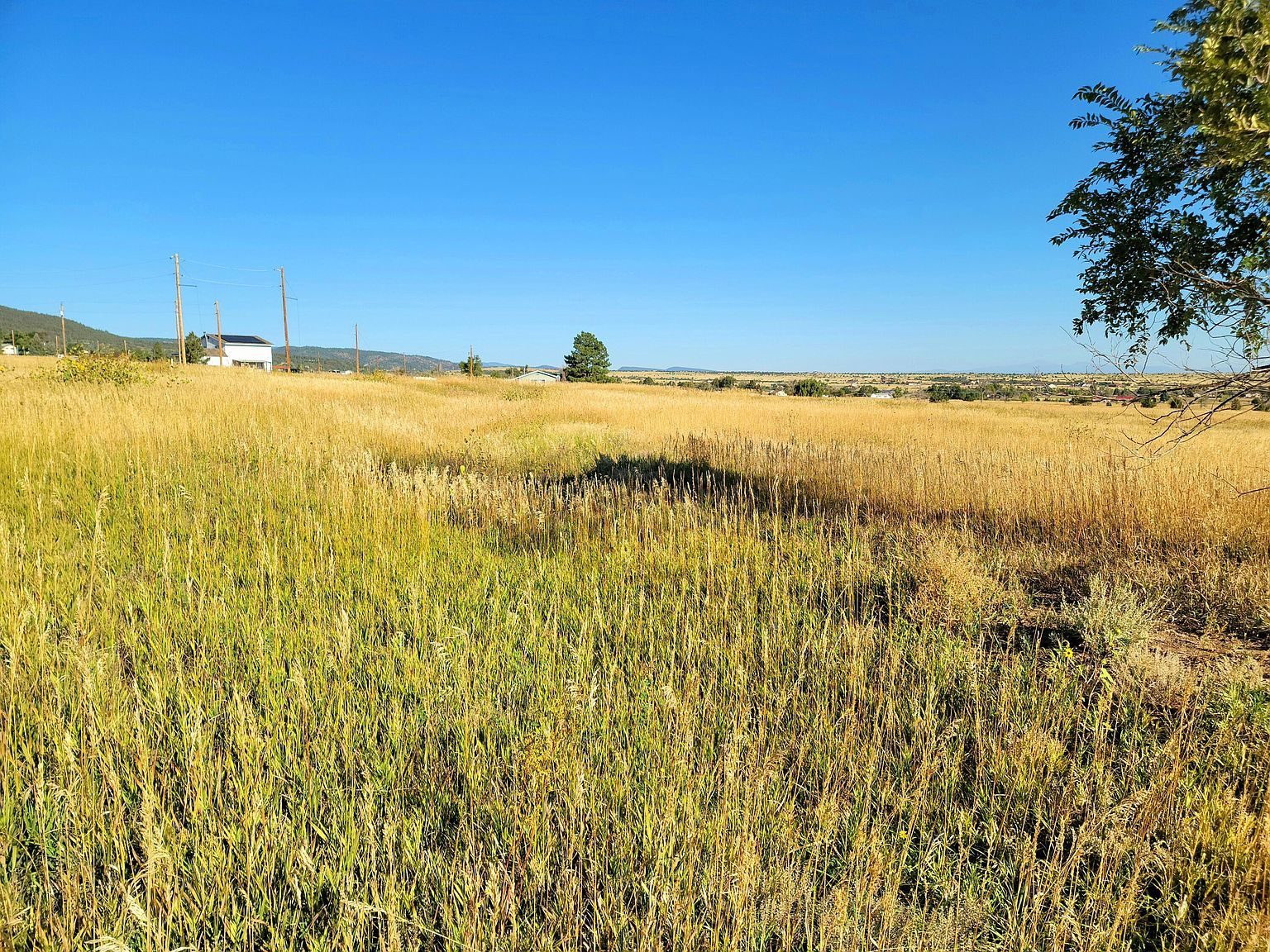 Beckwith Dr #467 Colorado City, CO 81019 - Thumbnail 4