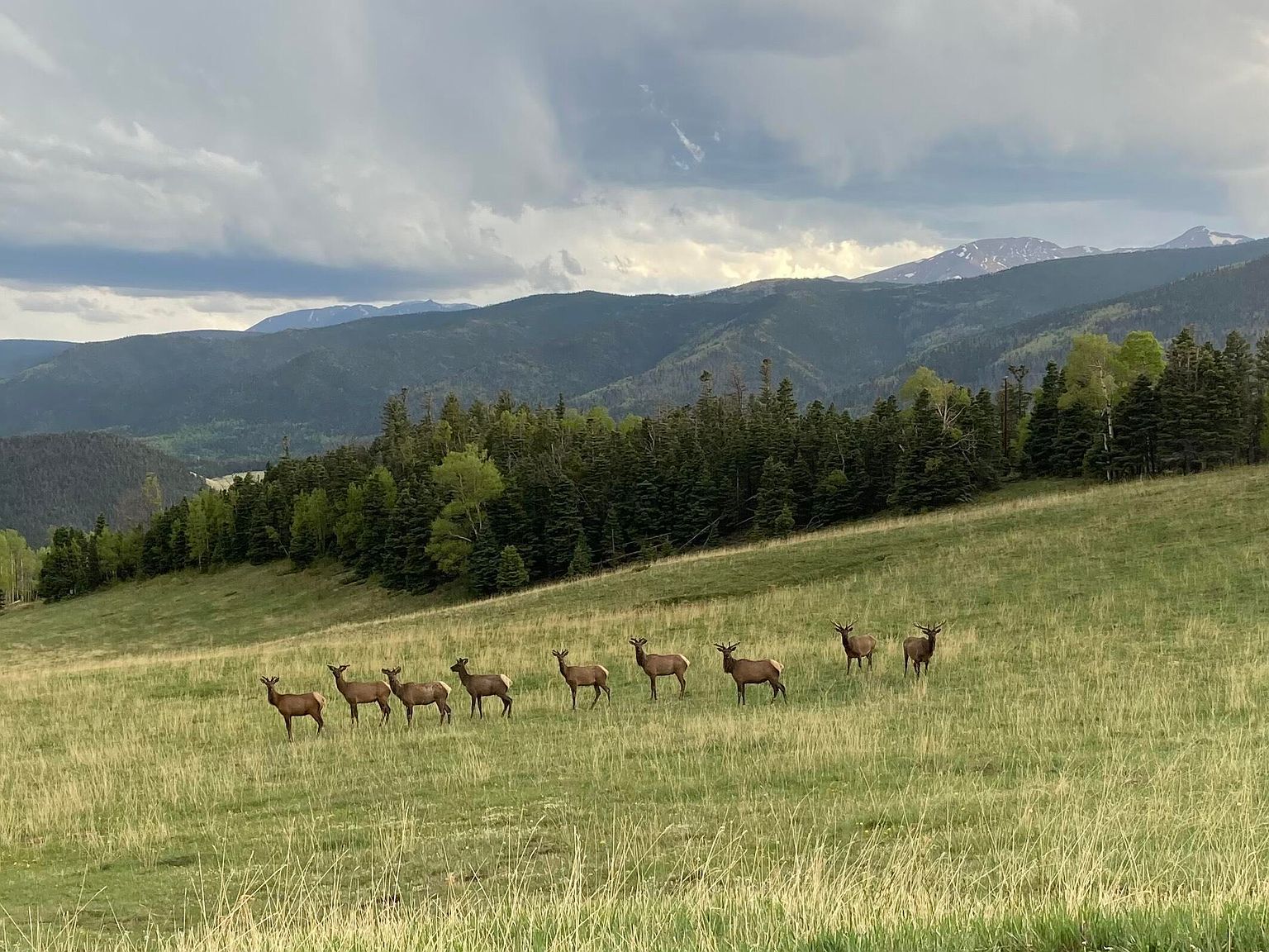 22222 Lillie Ln Weston, CO 81091 - Thumbnail 4