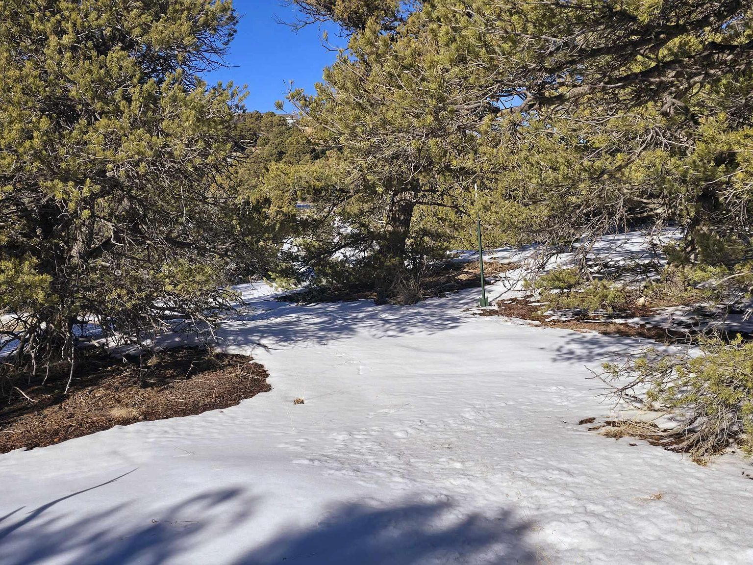 16 Navajo Rd Walsenburg, CO 81089 - Thumbnail 4