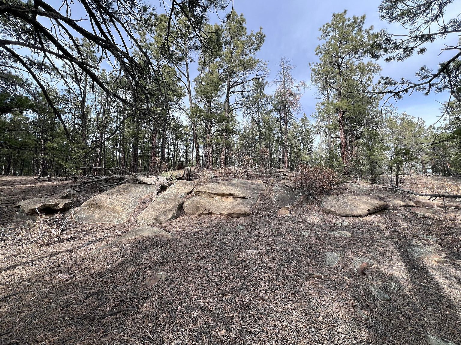 20127 Blue Jay Ln #114 Weston, CO 81091 - Thumbnail 4