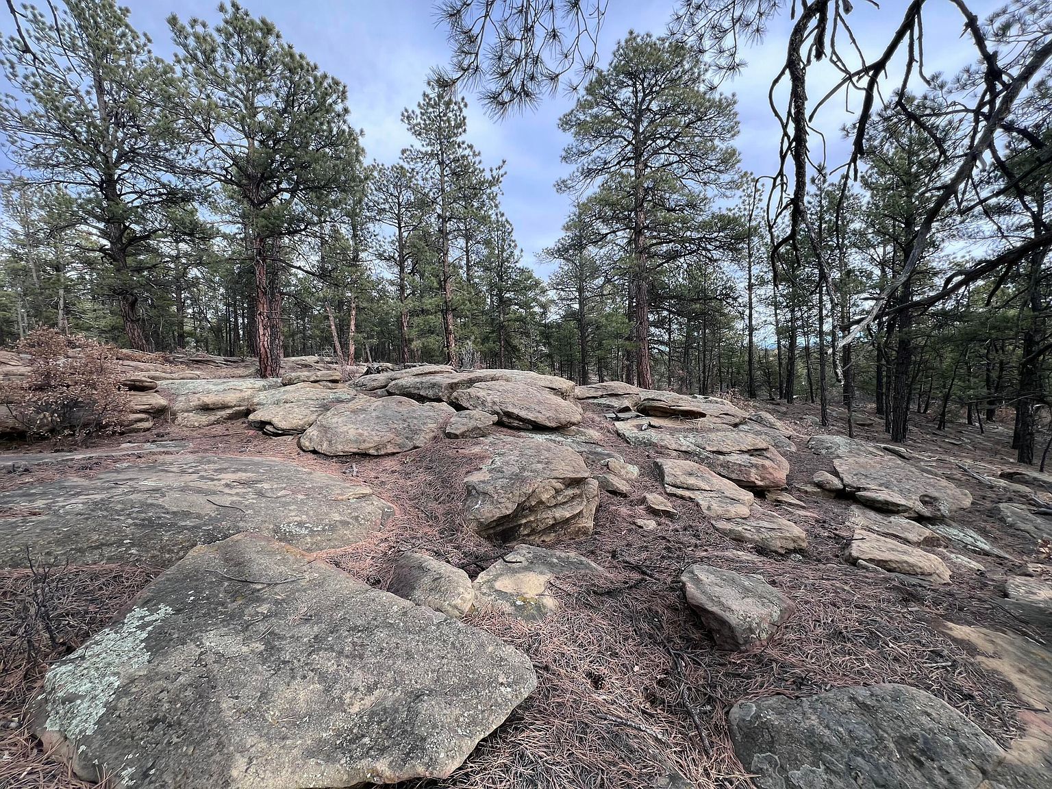 19985 Blue Jay Ln #115 Weston, CO 81091 - Thumbnail 4