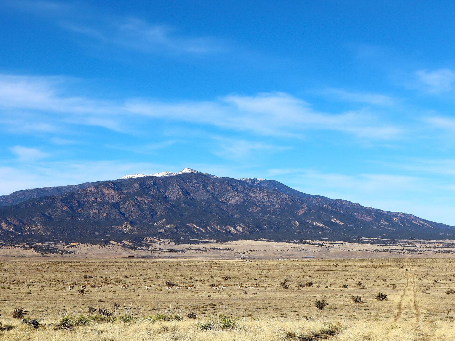 Black Hls LOT 279 Walsenburg, CO 81089 - Thumbnail 4