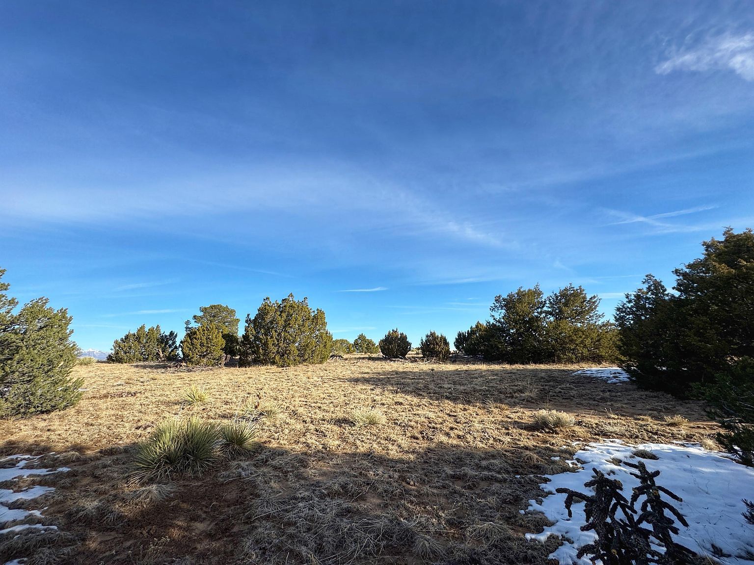 Rio Cucharas #2-333 Walsenburg, CO 81089 - Thumbnail 4