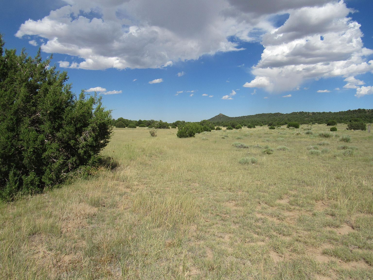 Greenhorn Vlg LOT 156-159 Walsenburg, CO 81089 - Thumbnail 4