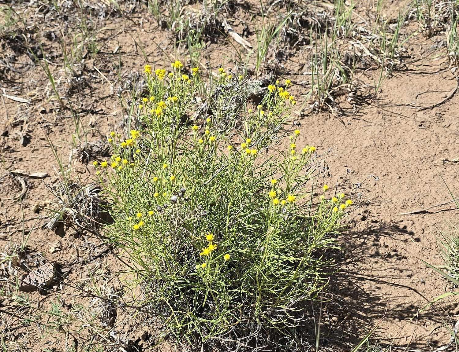 67 Seneca Pl #2 Walsenburg, CO 81089 - Thumbnail 4