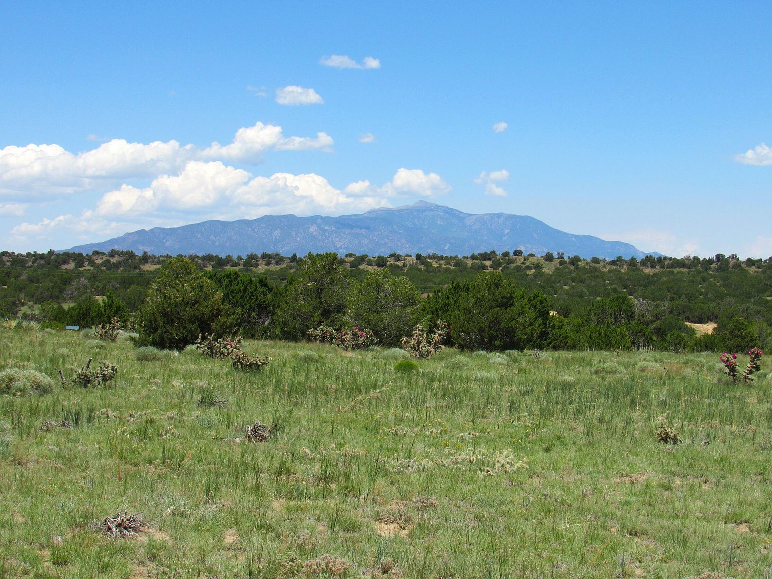 Huajatolla Blvd LOT 829 & 830 Walsenburg, CO 81089 - Thumbnail 4