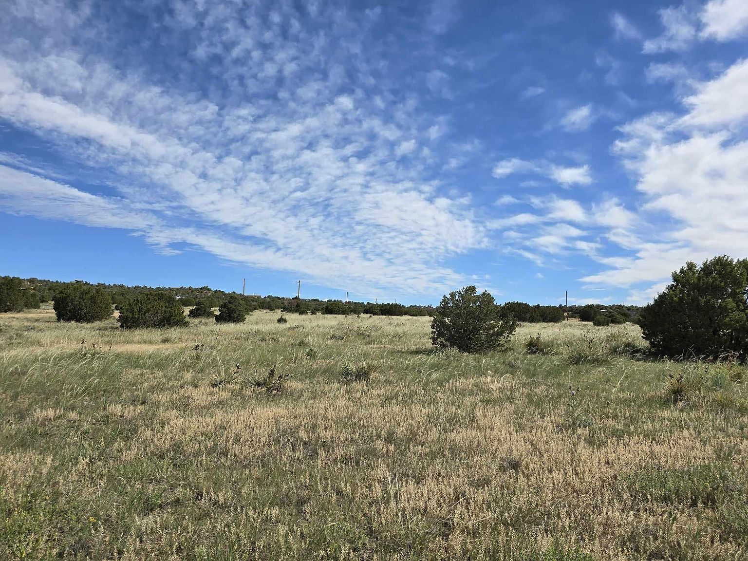 131 Navajo Ranch Resorts #2 Walsenburg, CO 81089 - Thumbnail 4