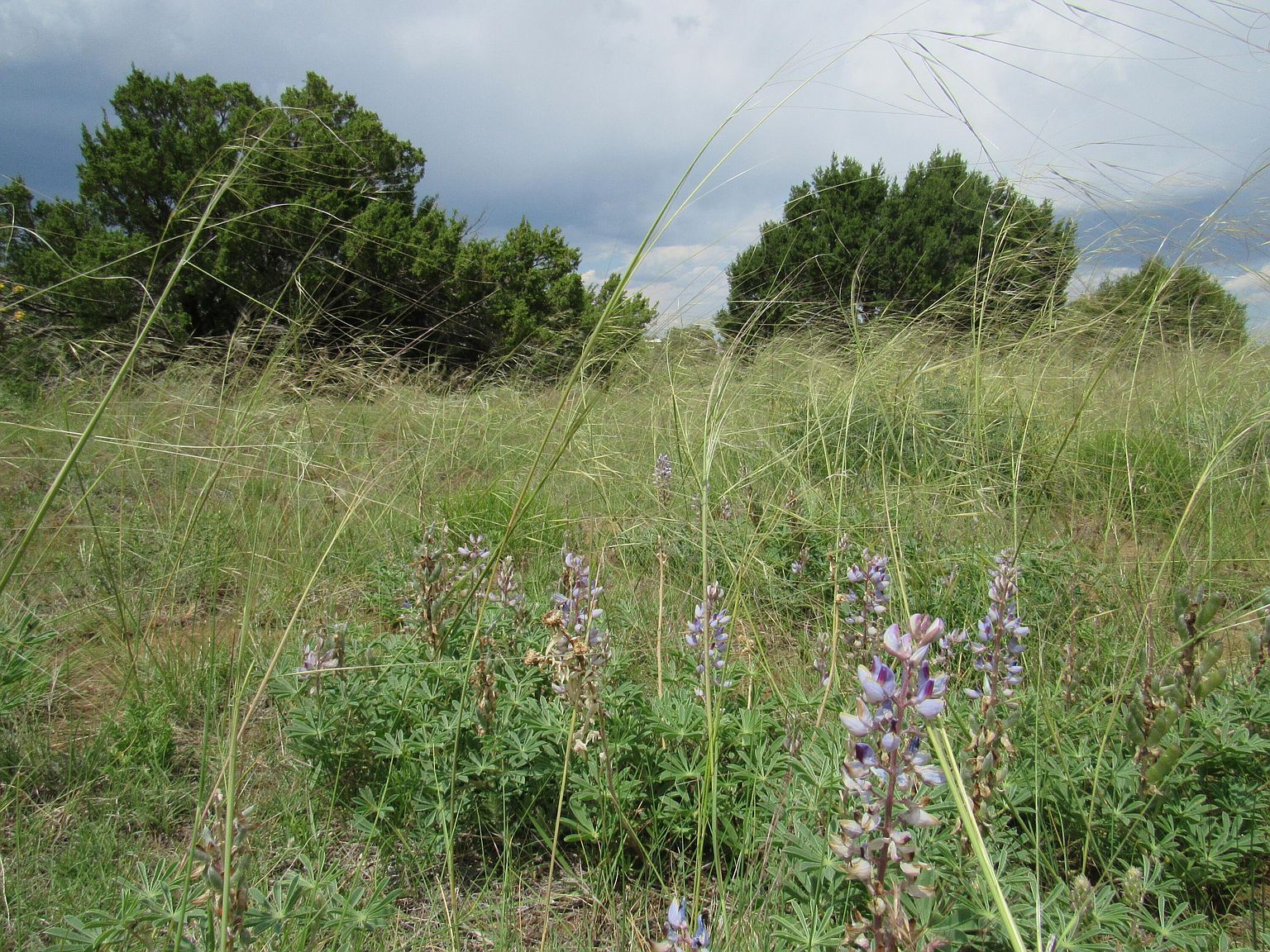 Greenhorn Vlg LOT 32 Walsenburg, CO 81089 - Thumbnail 4