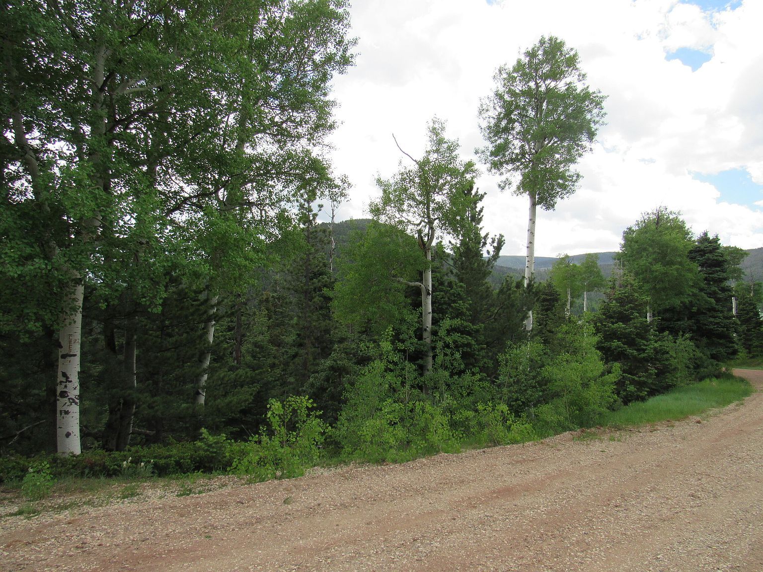 Valley Rd LOT 103 La Veta, CO 81055 - Thumbnail 4