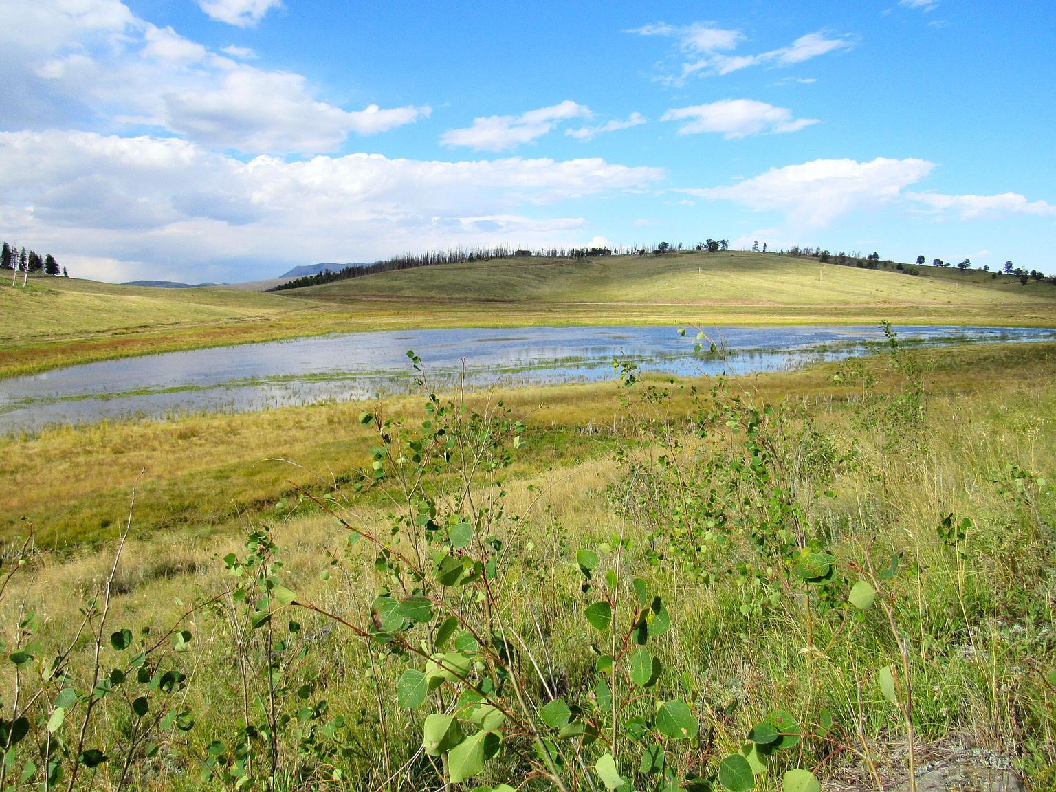 2348 Benton Pl Fort Garland, CO 81133 - Thumbnail 4