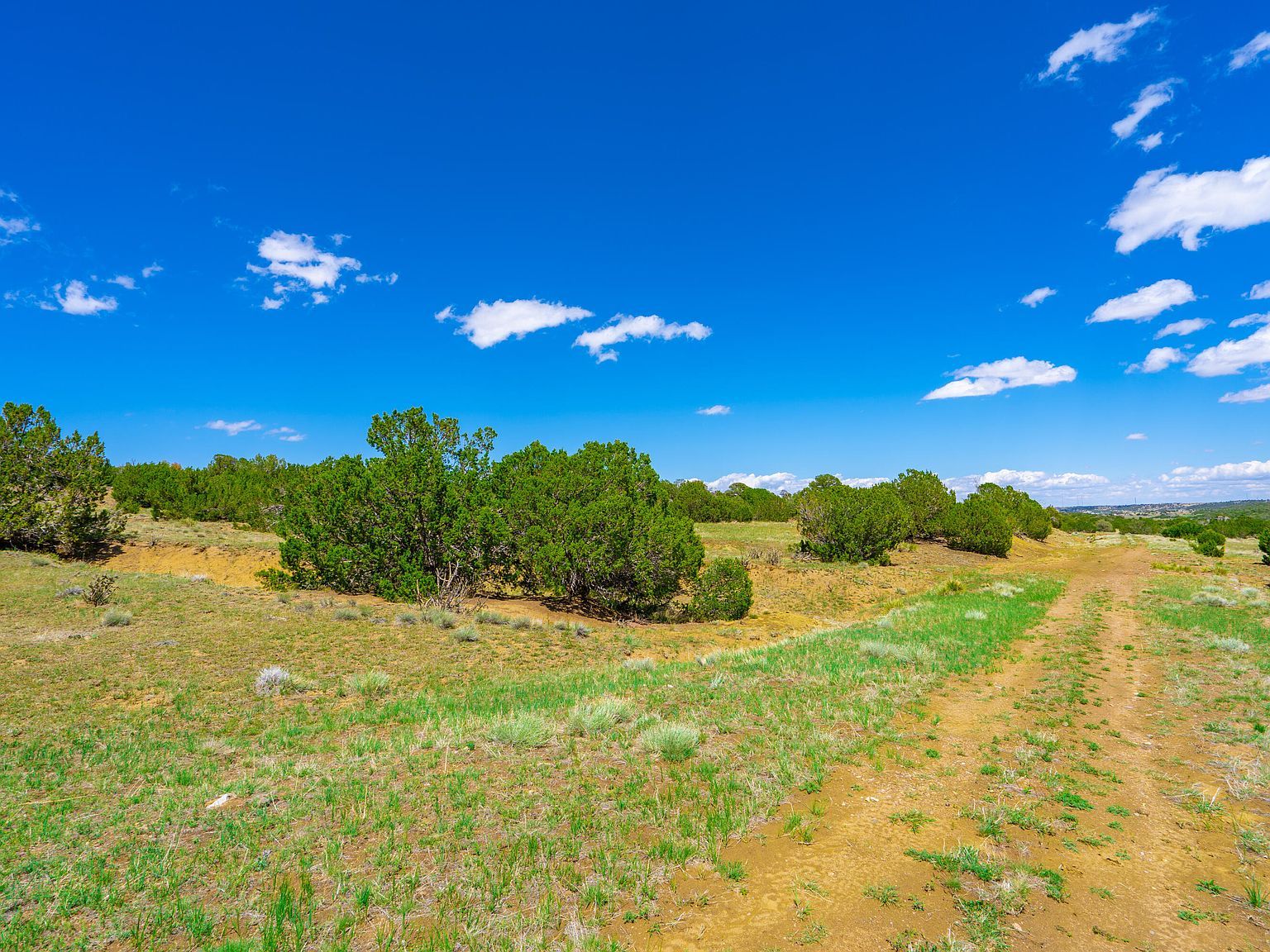 772 Rio Cucharas Chase #3 Walsenburg, CO 81089 - Thumbnail 4