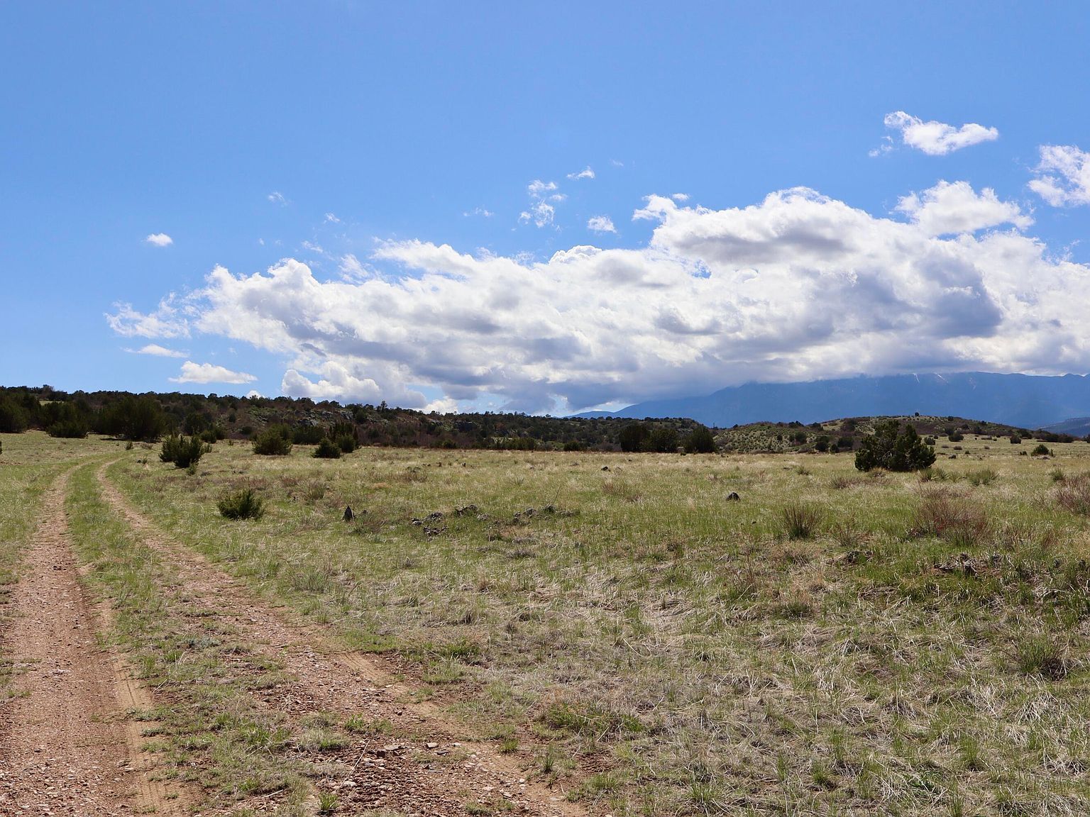 Caribou St LOT 164 Colorado City, CO 81019 - Thumbnail 4