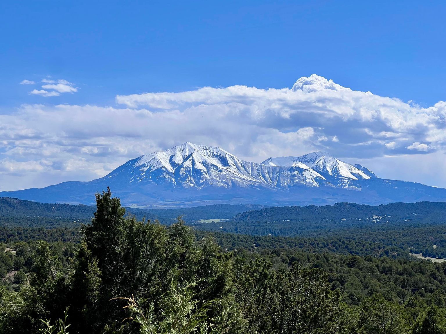 821 Silver Spur Rd Walsenburg, CO 81089 - Thumbnail 4