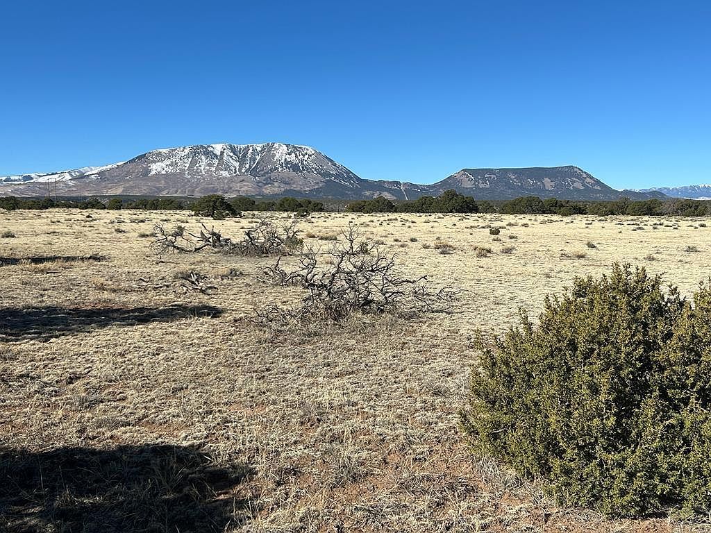62 Colorado Land Grazing Gardner, CO 81040 - Thumbnail 4