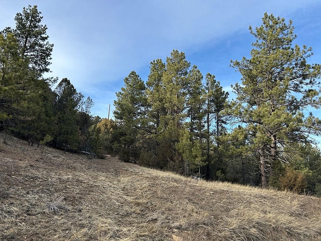 LOT G18 Santa Fe Trl Trinidad, CO 81082 - Thumbnail 4