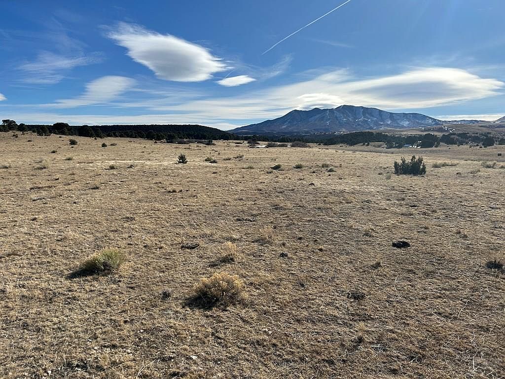 LOT 97 Colorado Land And Grazing Gardner, CO 81040 - Thumbnail 4