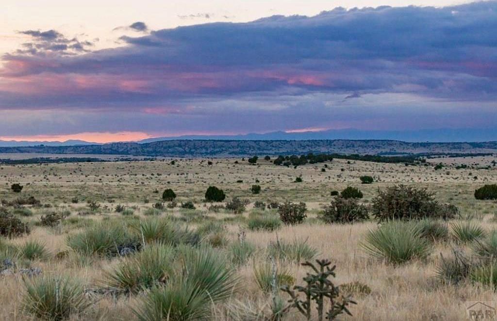 LOT 232 Turkey Ridge Rd Walsenburg, CO 81089 - Thumbnail 4