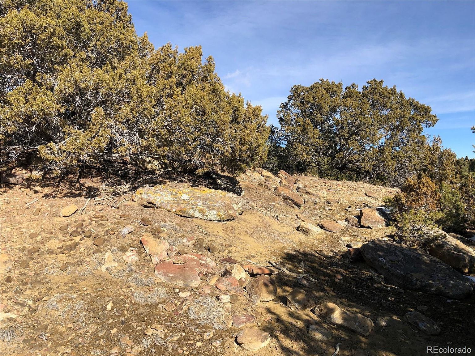 447 Rio Cucharas Pass #2 Walsenburg, CO 81089 - Thumbnail 4