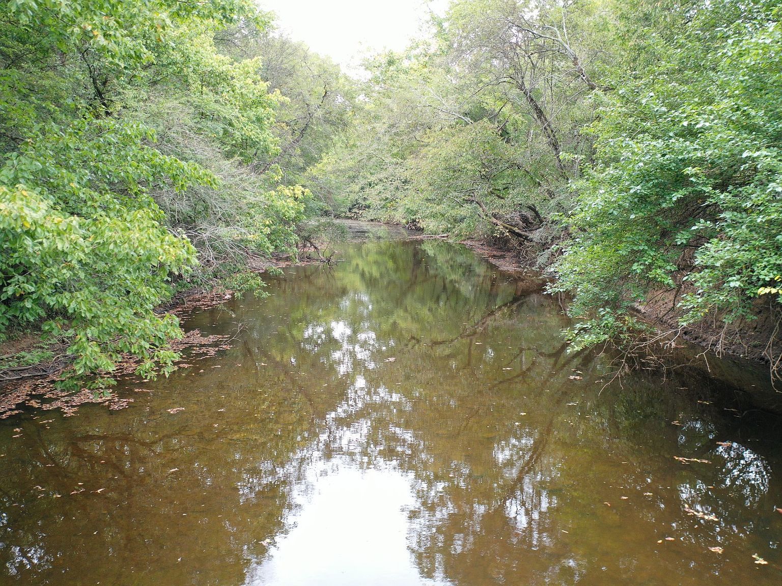 120 March Mill Rd Fayetteville, TN 37334 - Thumbnail 4