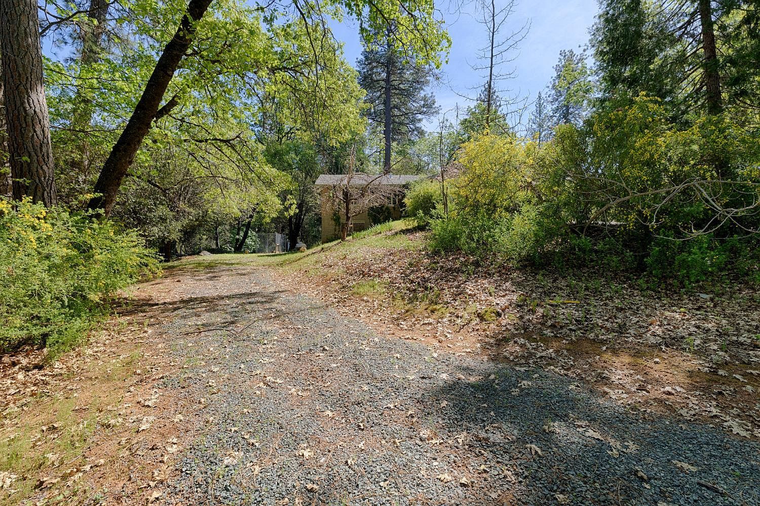 396 Golden Oak Dr Meadow Vista, CA 95722 - Thumbnail 4