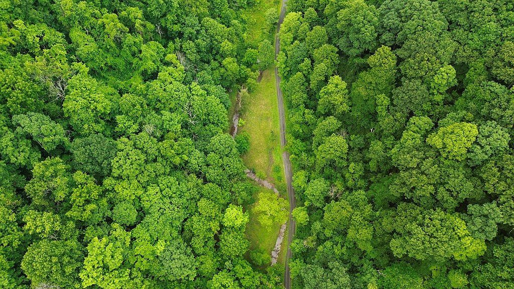 Tbd Thompson Creek Rd Honaker, VA 24260 - Thumbnail 4