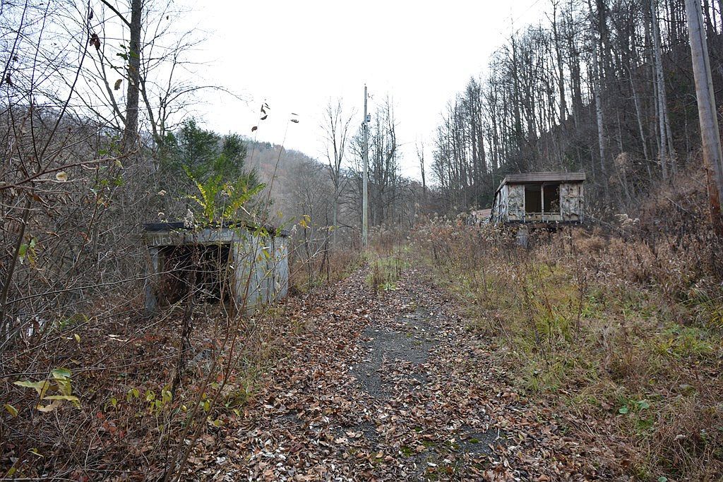 1067 Red Dog Rd Grundy, VA 24614 - Thumbnail 4