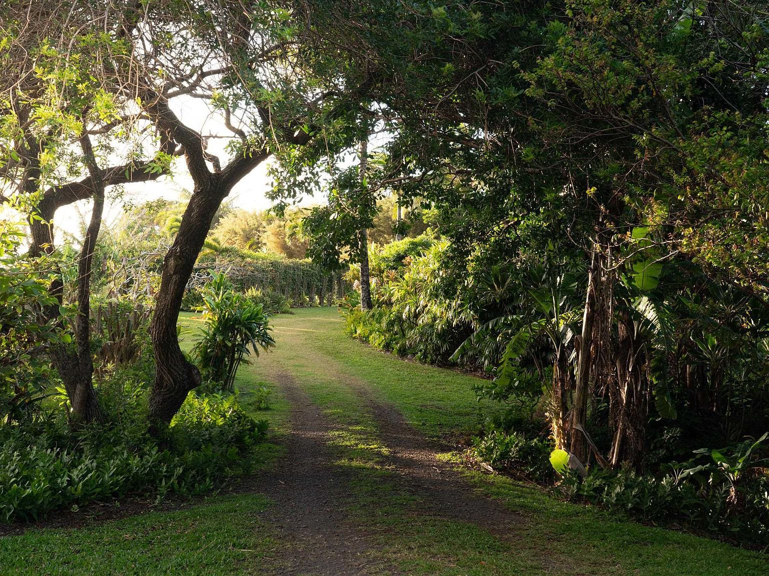 453 N Honokala Rd Haiku, HI 96708 - Thumbnail 4