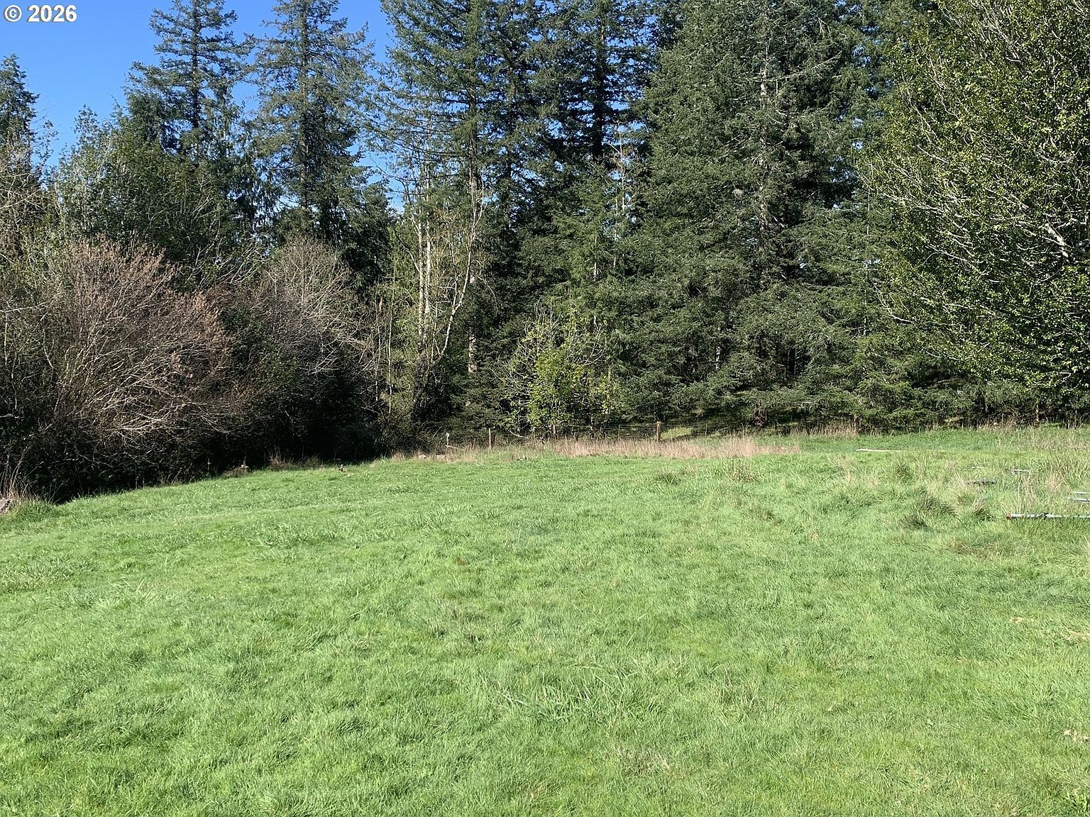 54885 Arago Fishtrap Rd Myrtle Point, OR 97458 - Thumbnail 4