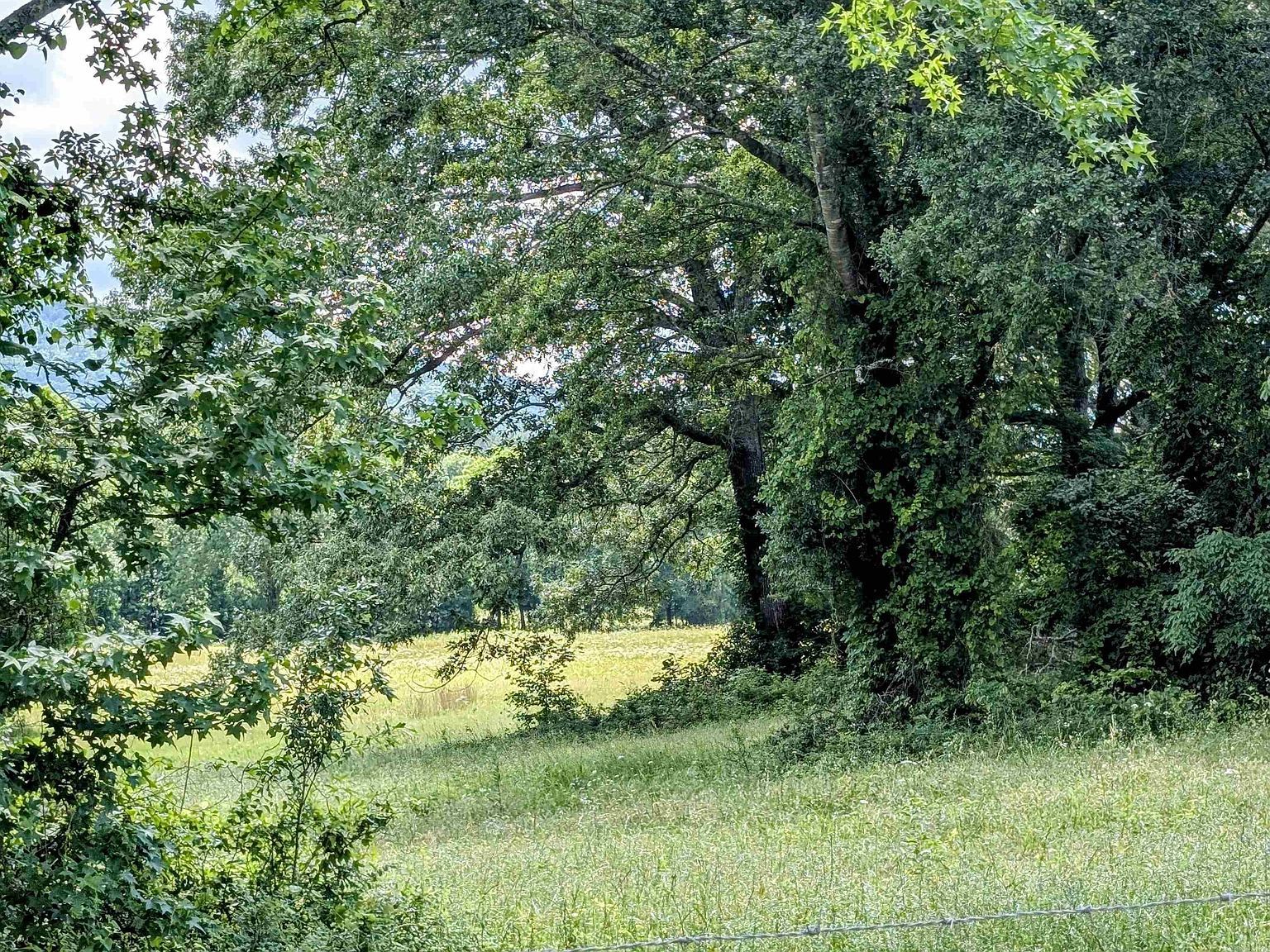 Unk State Hwy #144 Smithville, OK 74957 - Thumbnail 4