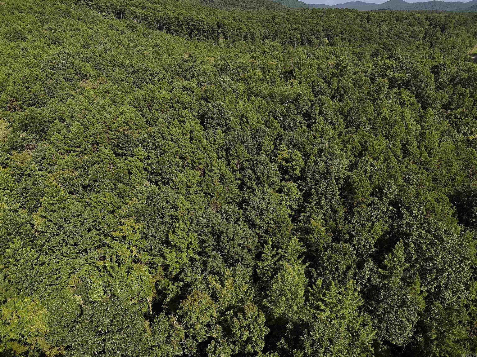 17 Polk Rd #78 Mena, AR 71953 - Thumbnail 4