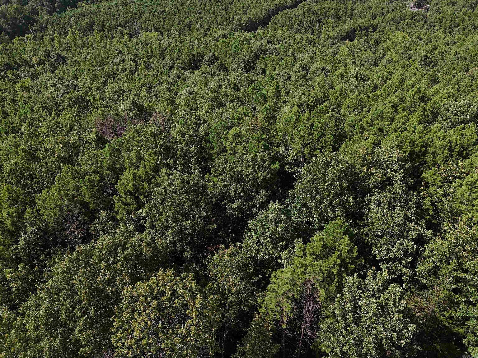 11 Polk Rd #78 Mena, AR 71953 - Thumbnail 4