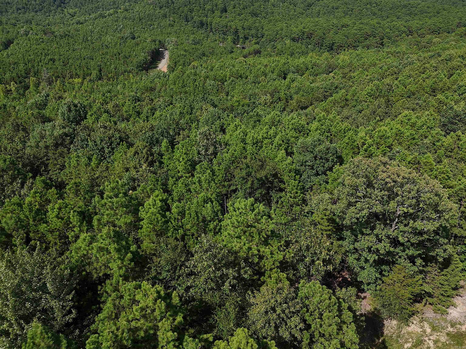 10 Polk Rd #78 Mena, AR 71953 - Thumbnail 4