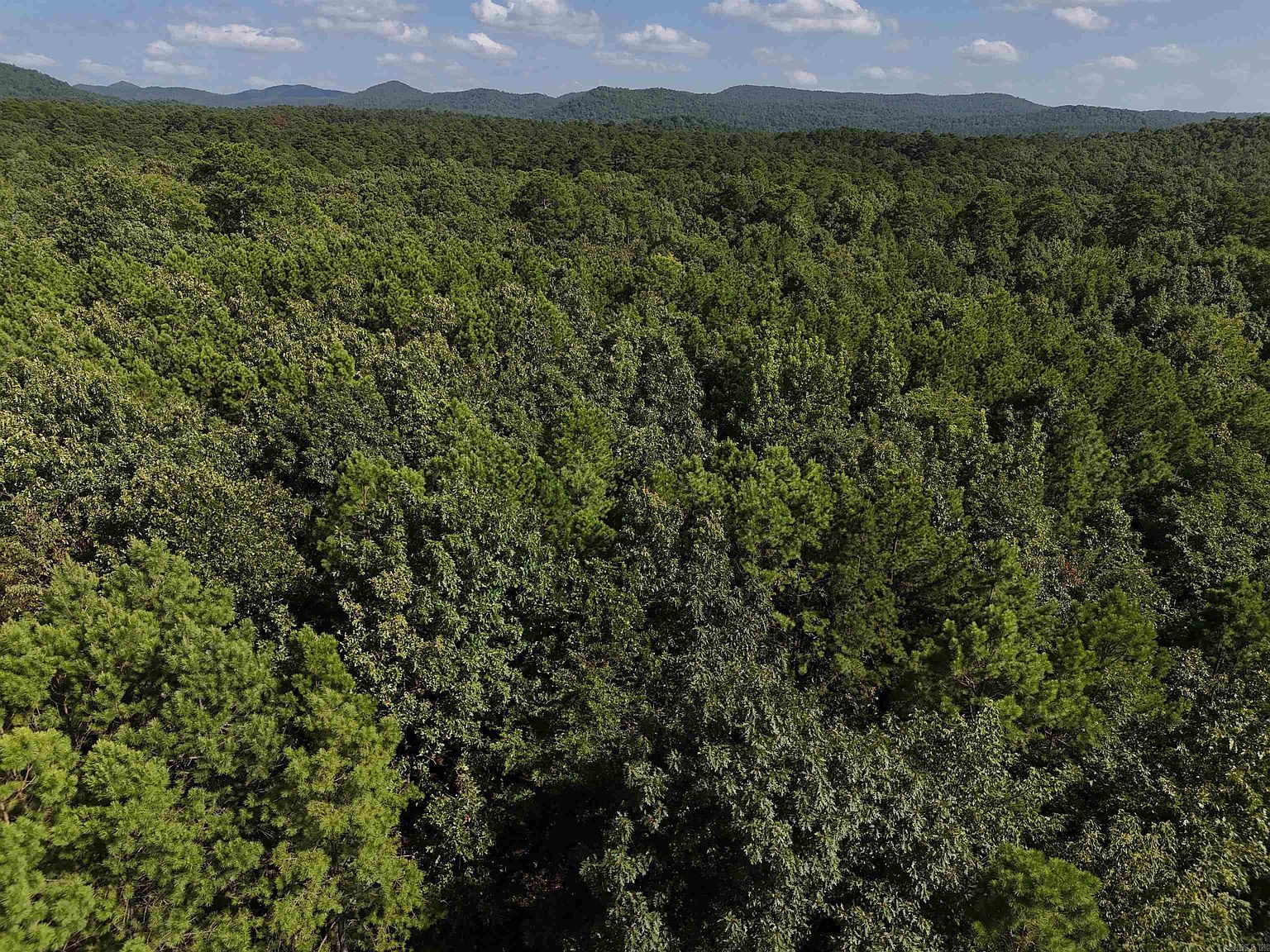 8 Polk Rd #78 Mena, AR 71953 - Thumbnail 4