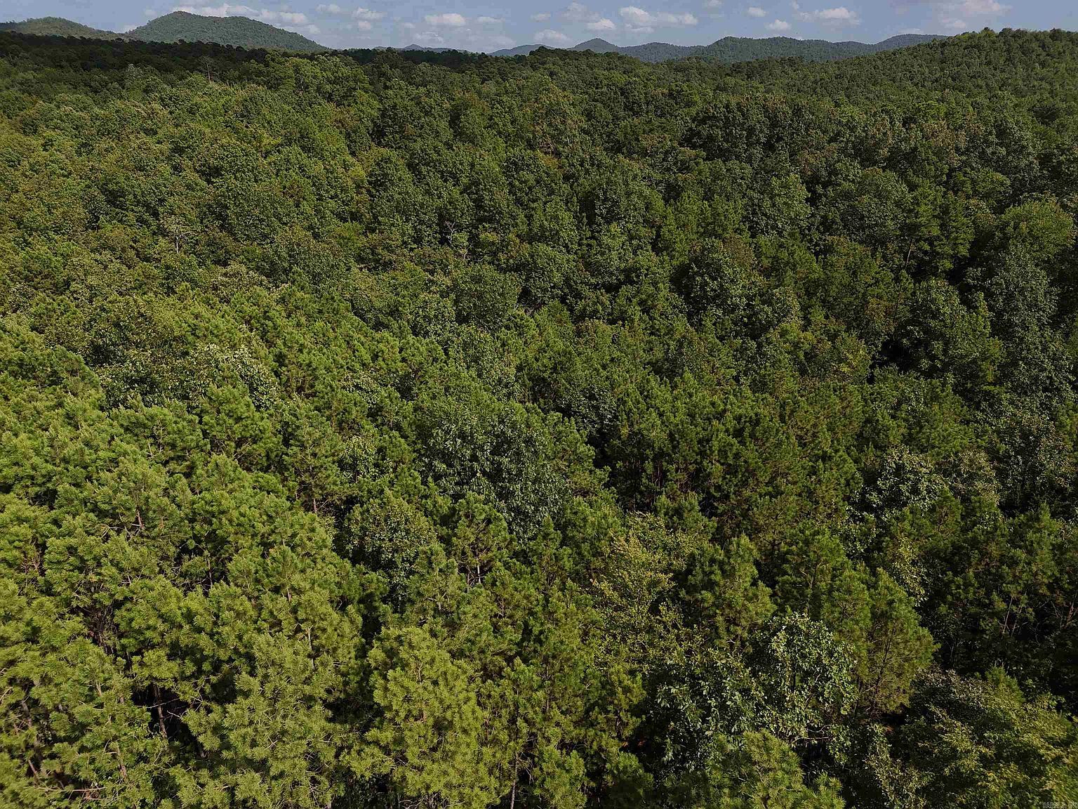 4 Polk Rd #78 Mena, AR 71953 - Thumbnail 4