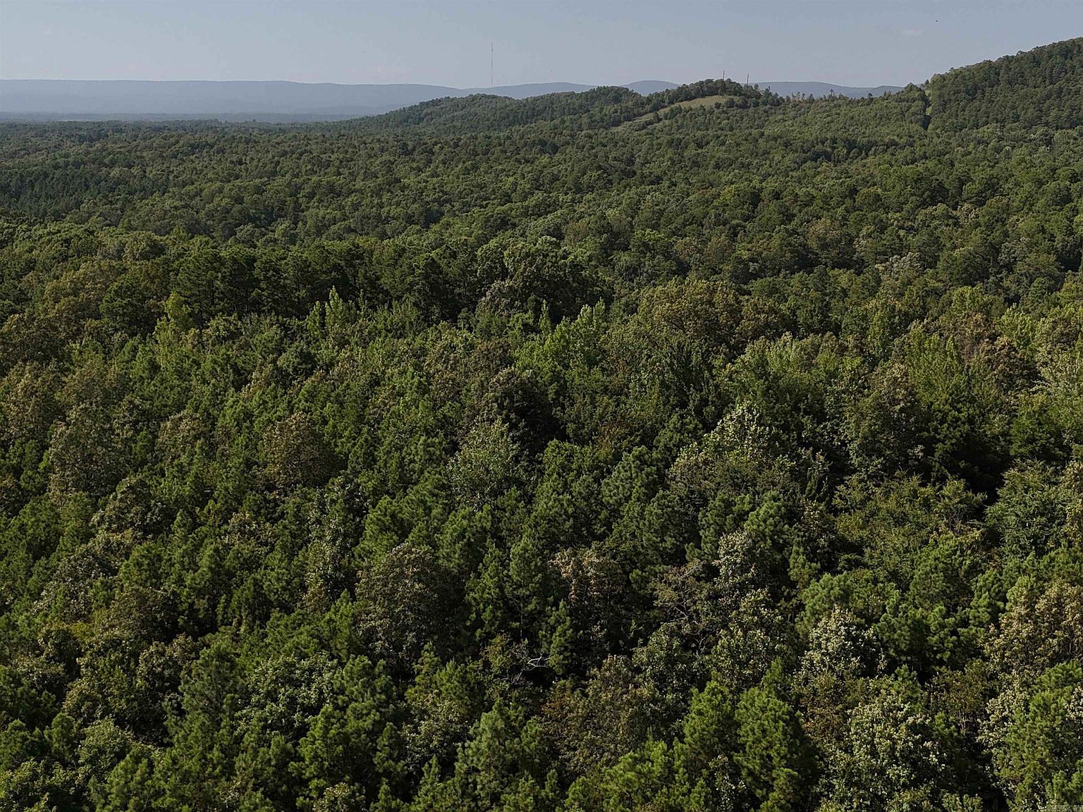 1 Polk Rd #78 Mena, AR 71953 - Thumbnail 4