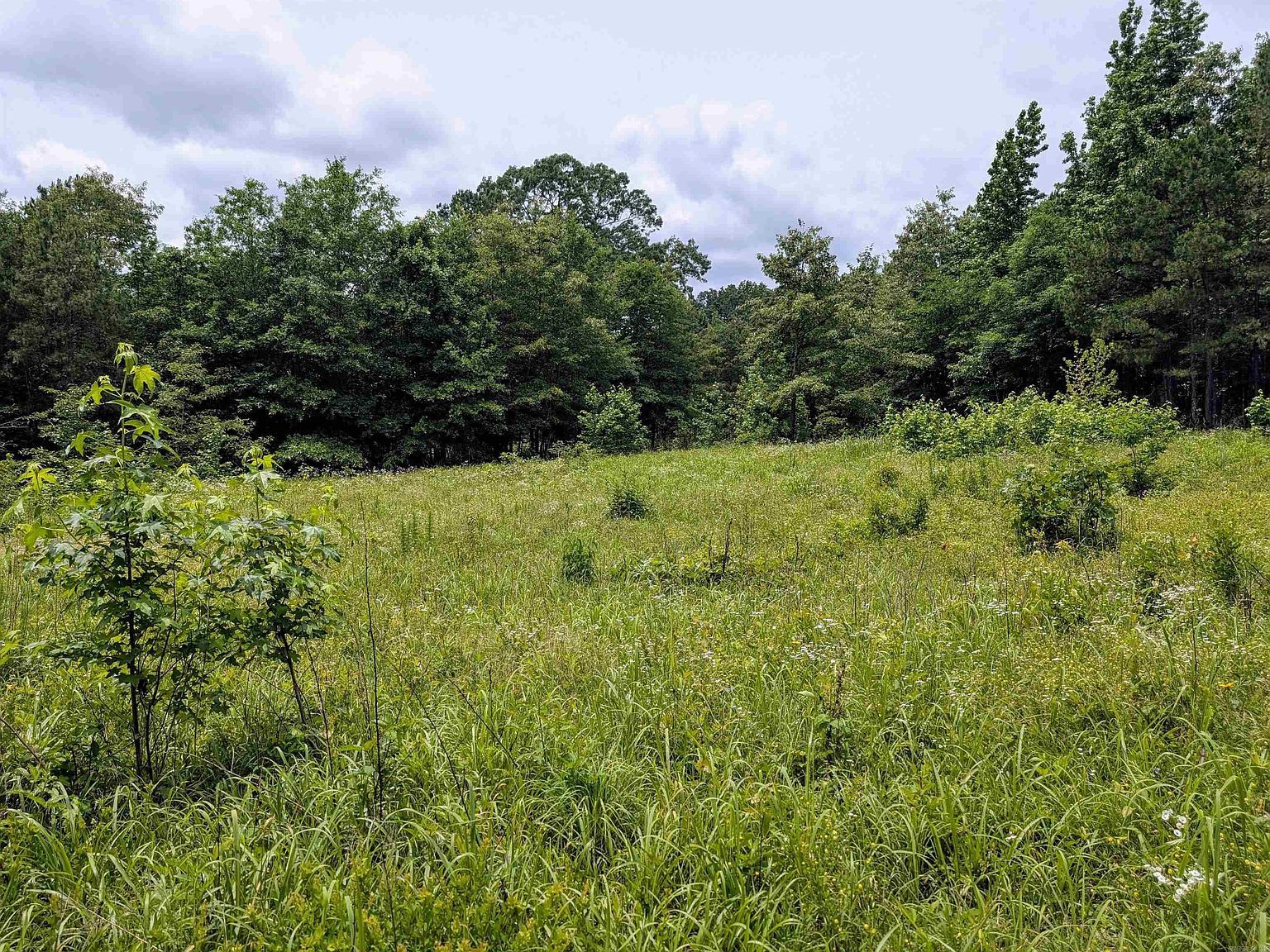 533 Caney Creek Loop Smithville, OK 74957 - Thumbnail 4