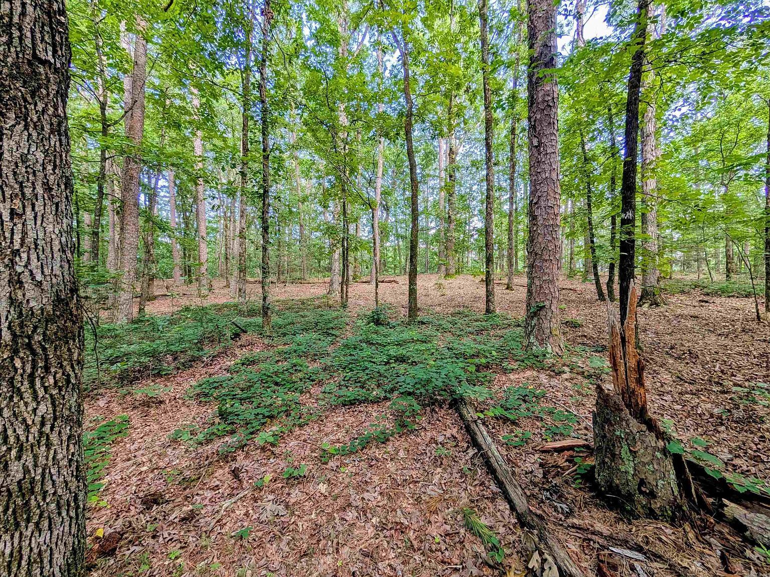 198 Cathedral Pines Ln Mena, AR 71953 - Thumbnail 4