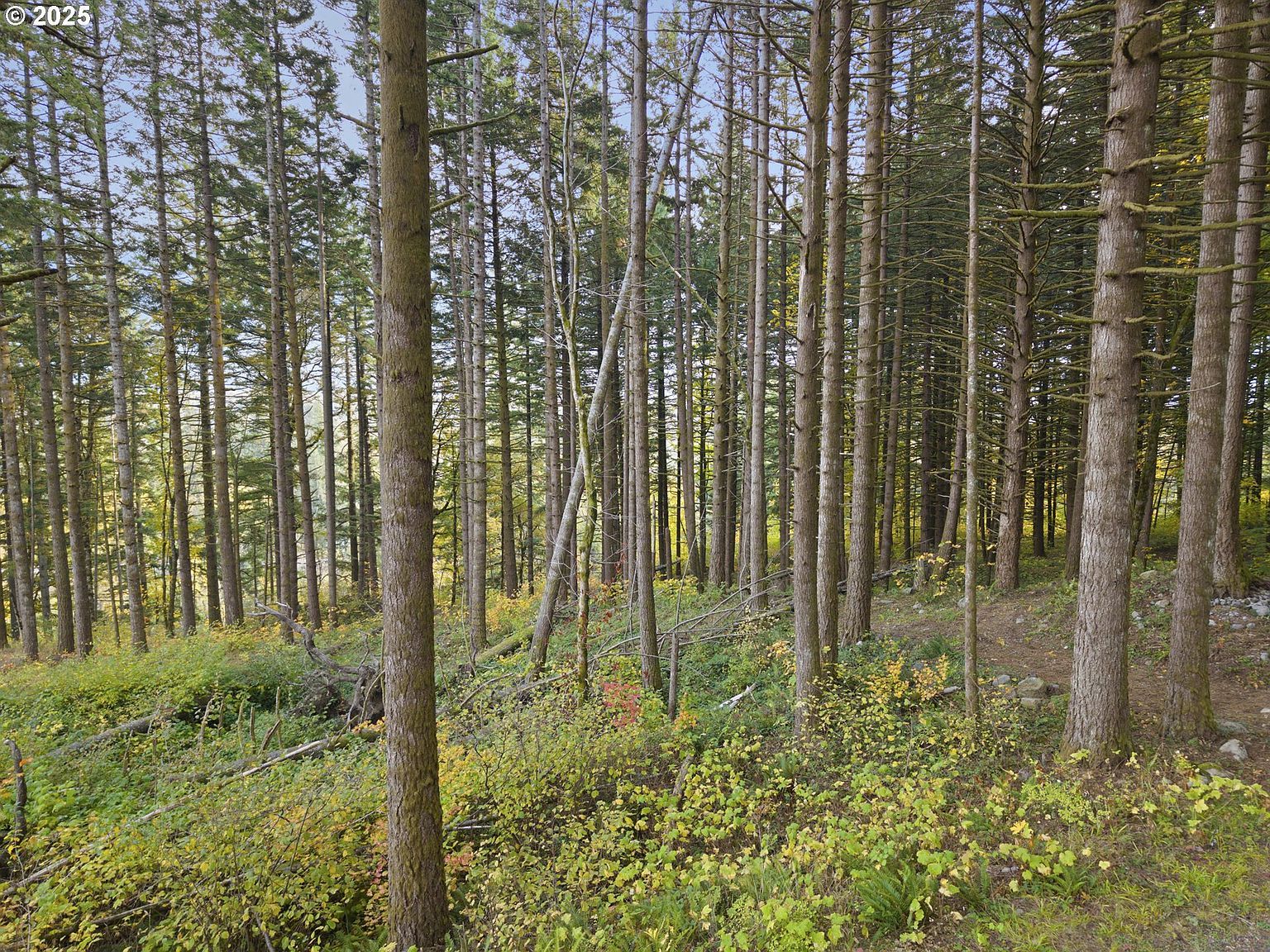 Warren Rd #4 North Bonneville, WA 98639 - Thumbnail 4