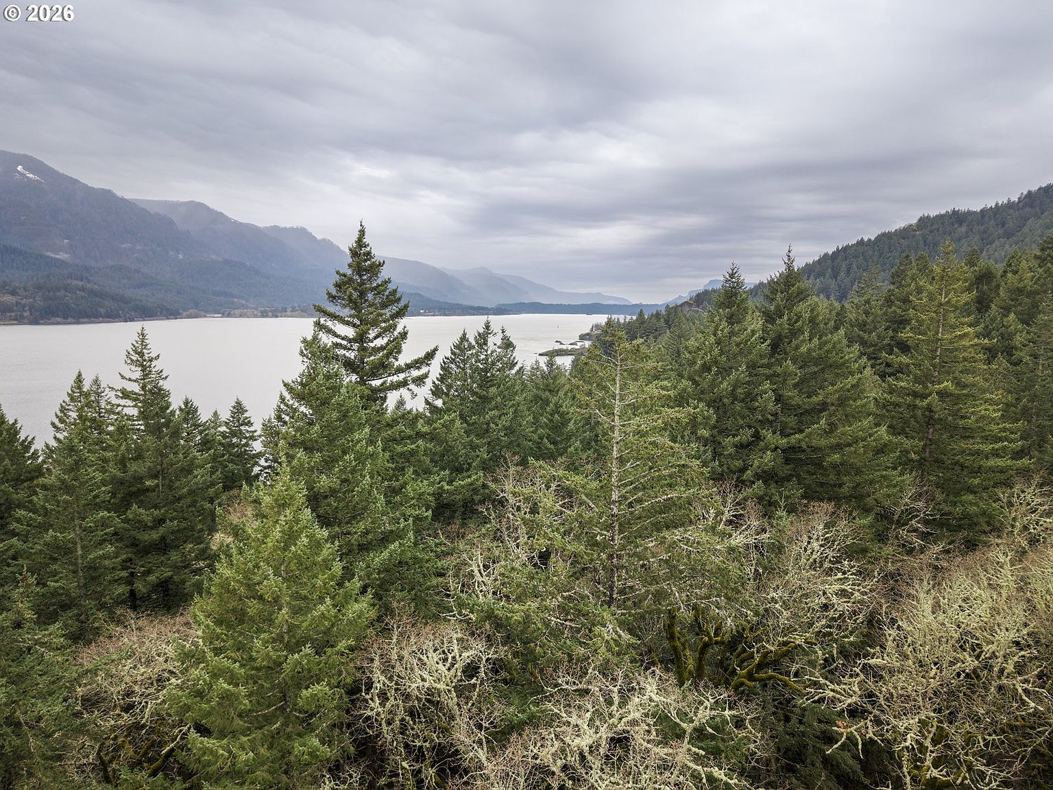 Seward Rd Carson, WA 98610 - Thumbnail 4