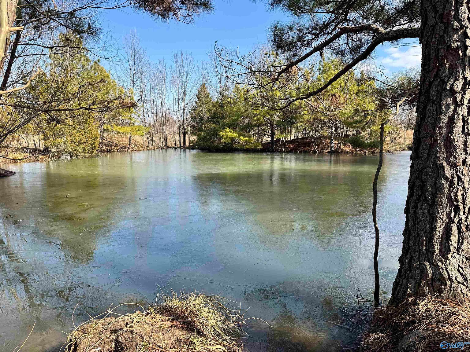 3051 State Highway 157 Danville, AL 35619 - Thumbnail 4