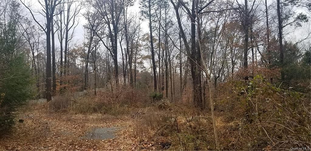 48 Gordon Ave Briarcliff Manor, NY 10510 - Thumbnail 4