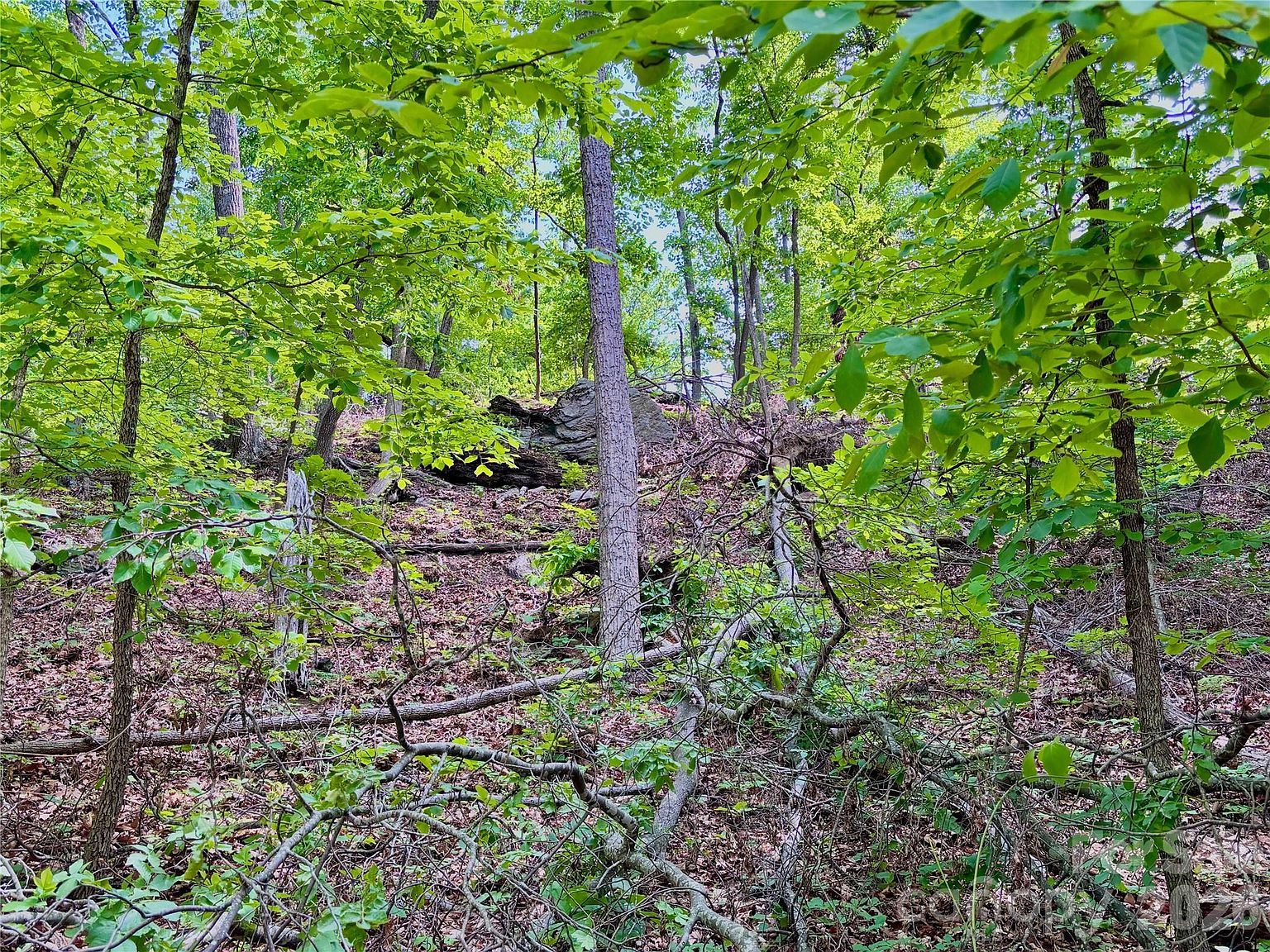 350 Springvalley Dr Union Mills, NC 28167 - Thumbnail 4