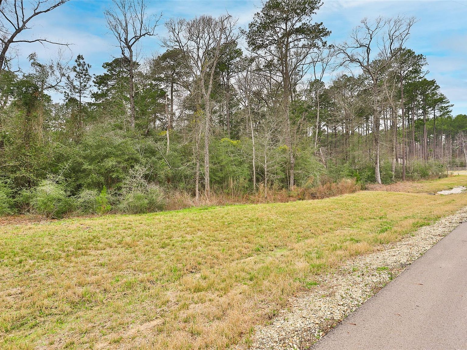 0 Larkspur Ln New Waverly, TX 77358 - Thumbnail 4