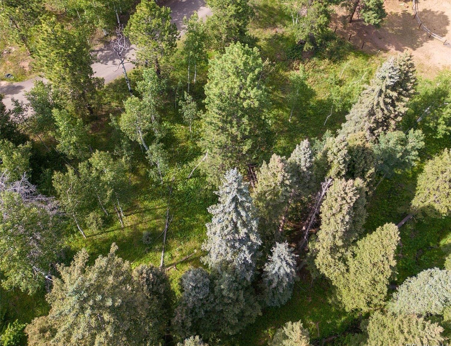 28380 Pine Trl Conifer, CO 80433 - Thumbnail 4