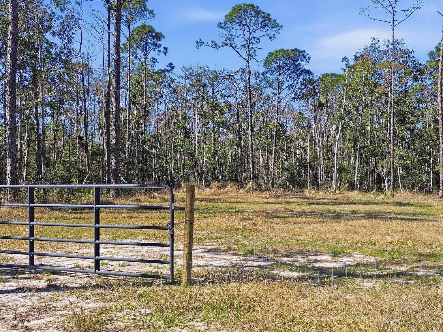 Jody Morgan Rd Perry, FL 32348 - Thumbnail 4